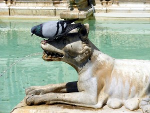 Fonte Gaia-particolare lupa